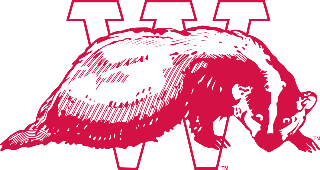 Wisconsin Badgers 1936-1947 Alternate Logo DIY iron on transfer (heat transfer)